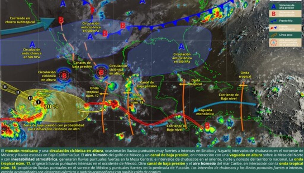 Imagen de WhatsApp 2025-08-01 a las 12.21.27_1a683e12