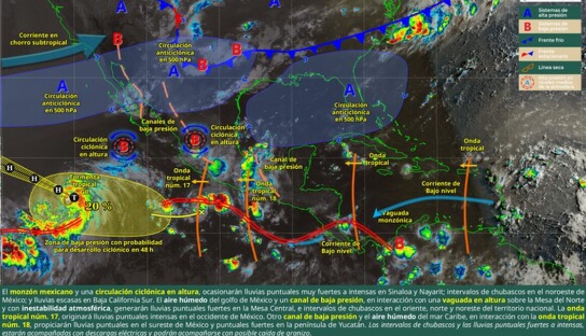 Imagen de WhatsApp 2025-08-01 a las 12.21.27_1a683e12