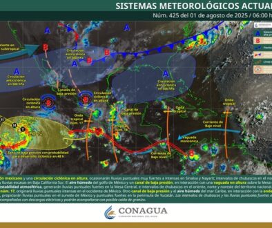 Imagen de WhatsApp 2025-08-01 a las 12.21.27_1a683e12