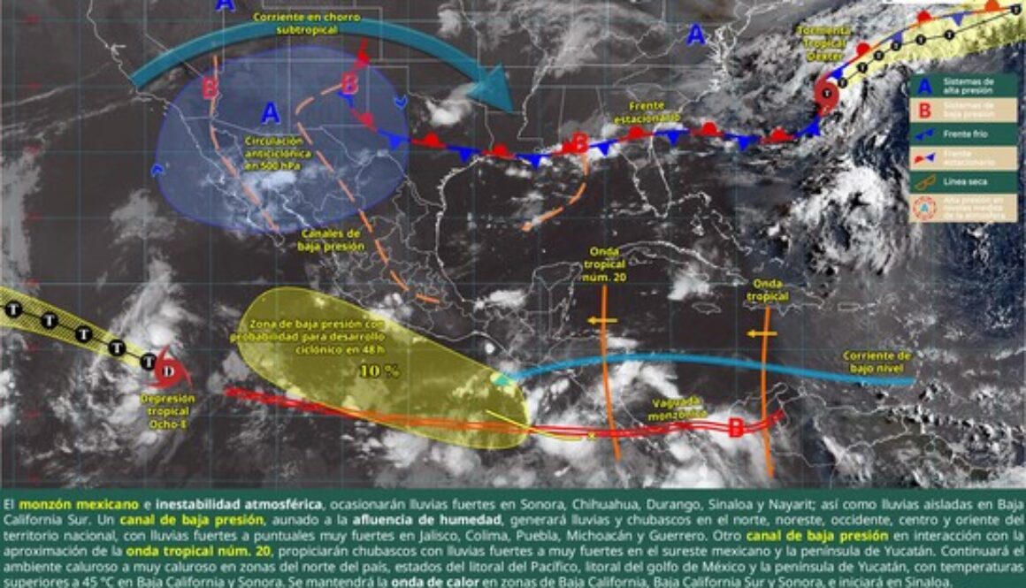 Imagen de WhatsApp 2025-08-04 a las 11.15.15_c0d62ed5