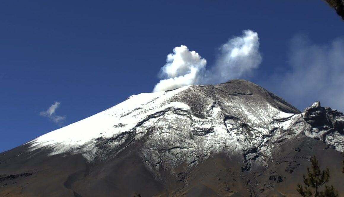 Imagen de WhatsApp 2025-08-04 a las 12.00.34_ea0a4a7c