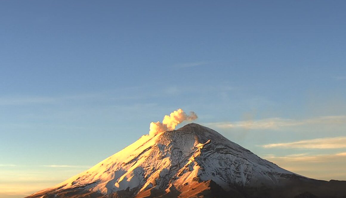 Imagen de WhatsApp 2025-08-05 a las 12.30.33_beadeae9