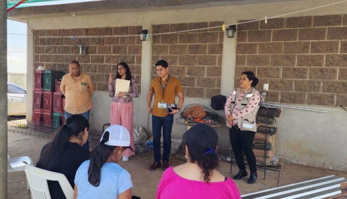 Imagen de WhatsApp 2025-08-05 a las 16.50.08_72f31c9a