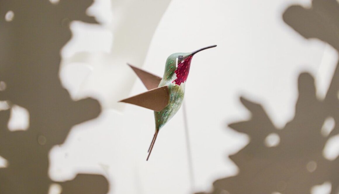 Imagen de WhatsApp 2025-08-08 a las 13.10.15_f80c6295