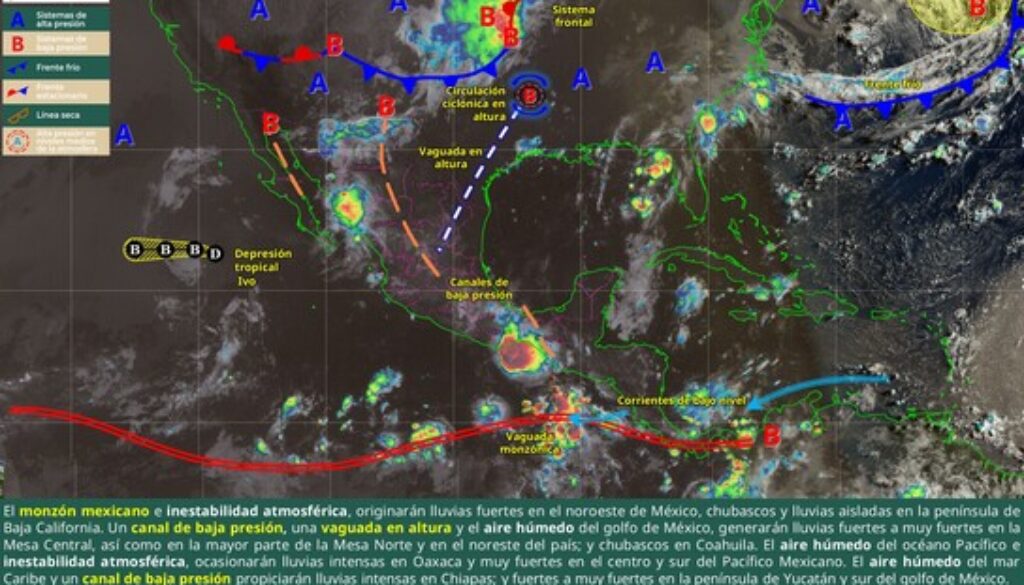 Imagen de WhatsApp 2025-08-11 a las 11.30.09_499d8d78