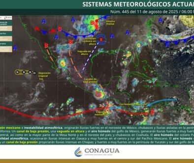 Imagen de WhatsApp 2025-08-11 a las 11.30.09_499d8d78