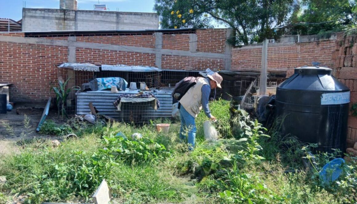 Imagen de WhatsApp 2025-08-11 a las 14.36.25_89bdb966