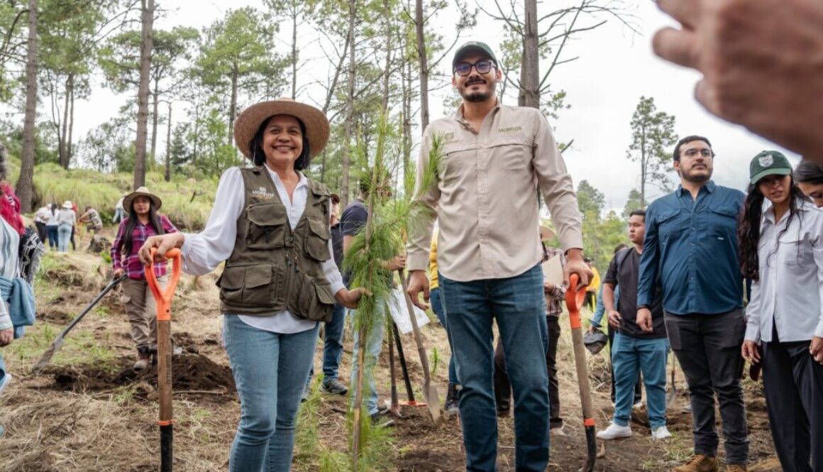 Imagen de WhatsApp 2025-08-11 a las 18.10.30_5cde6460