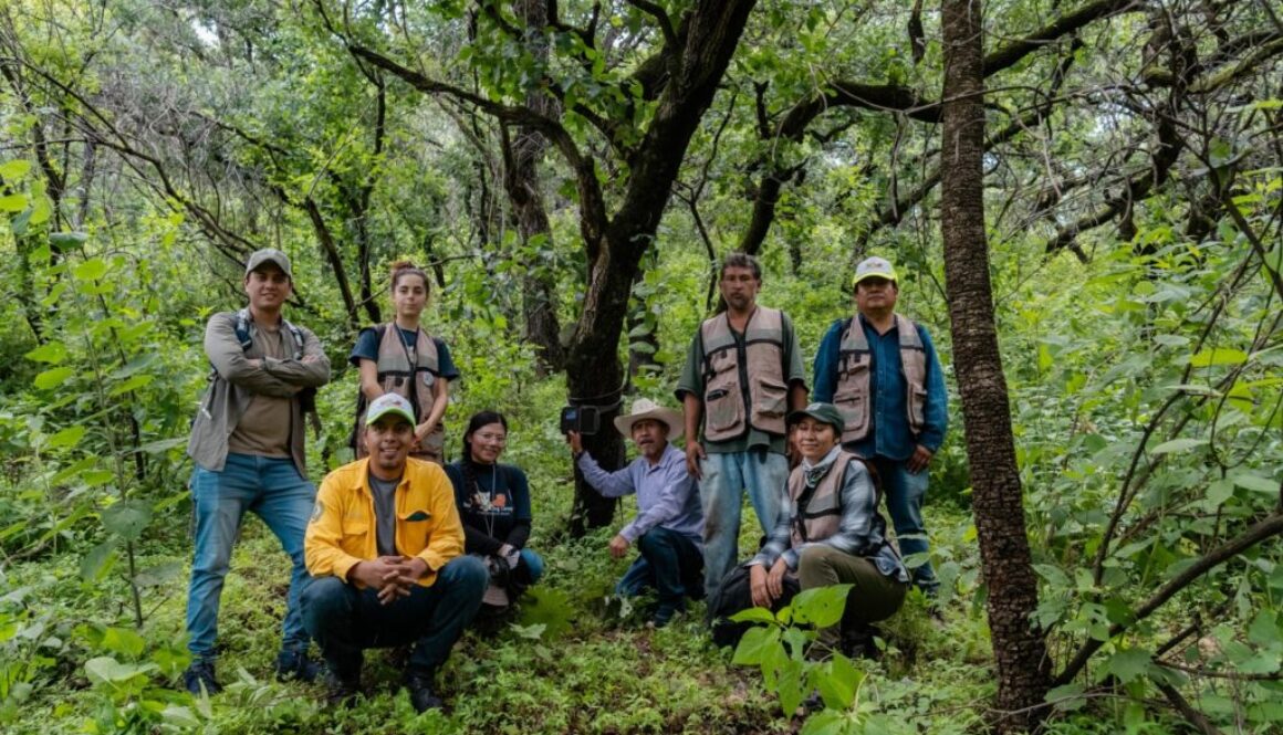 Imagen de WhatsApp 2025-08-13 a las 18.10.33_b3c42104