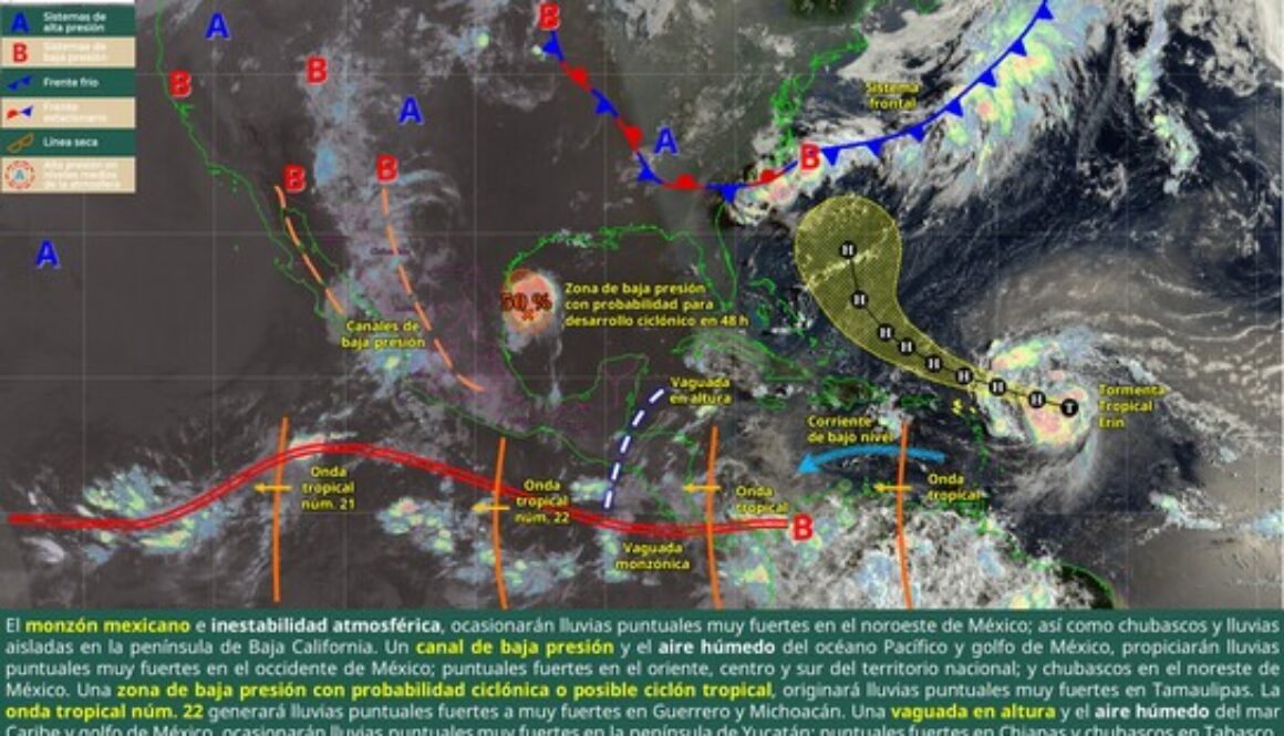 Imagen de WhatsApp 2025-08-15 a las 09.55.19_0c719c88