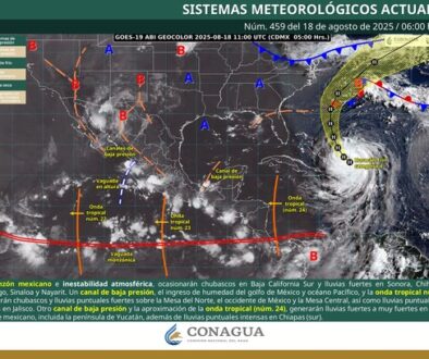Imagen de WhatsApp 2025-08-18 a las 12.00.25_a9bcc48c