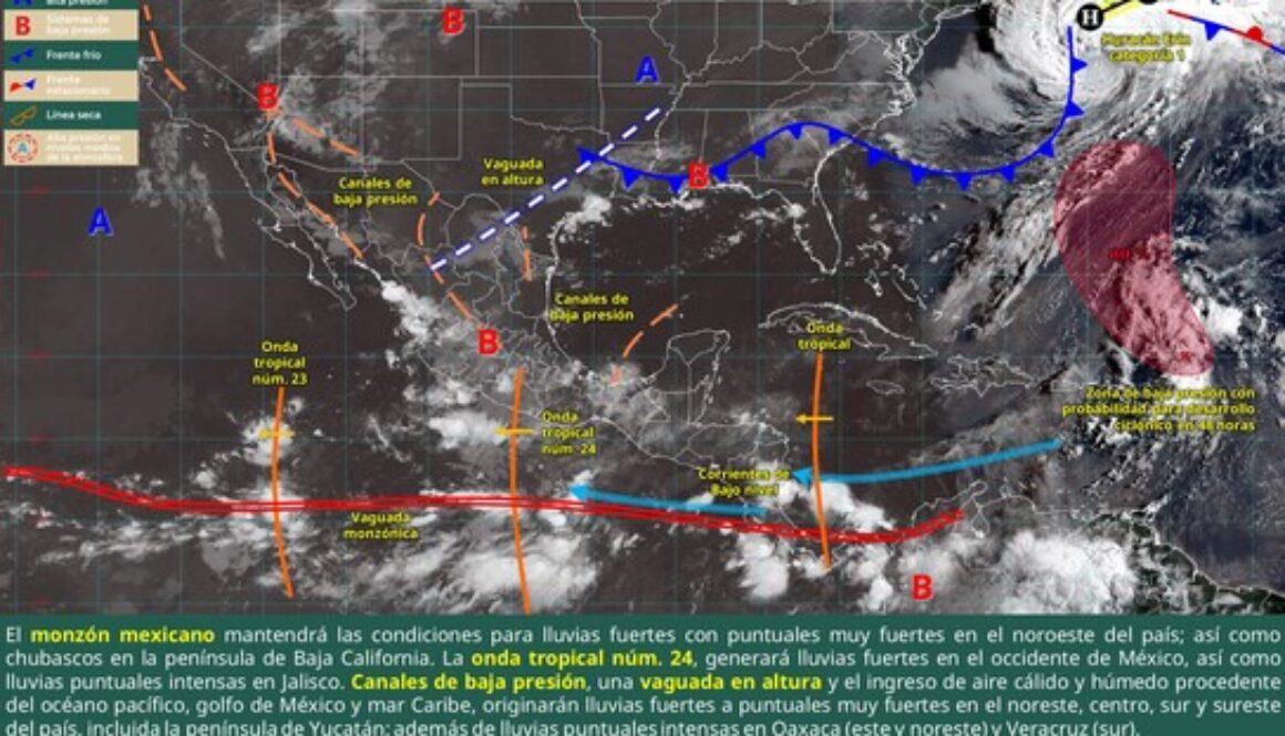 Imagen de WhatsApp 2025-08-22 a las 10.26.03_deda505b