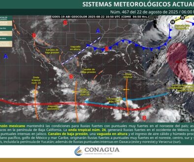 Imagen de WhatsApp 2025-08-22 a las 10.26.03_deda505b