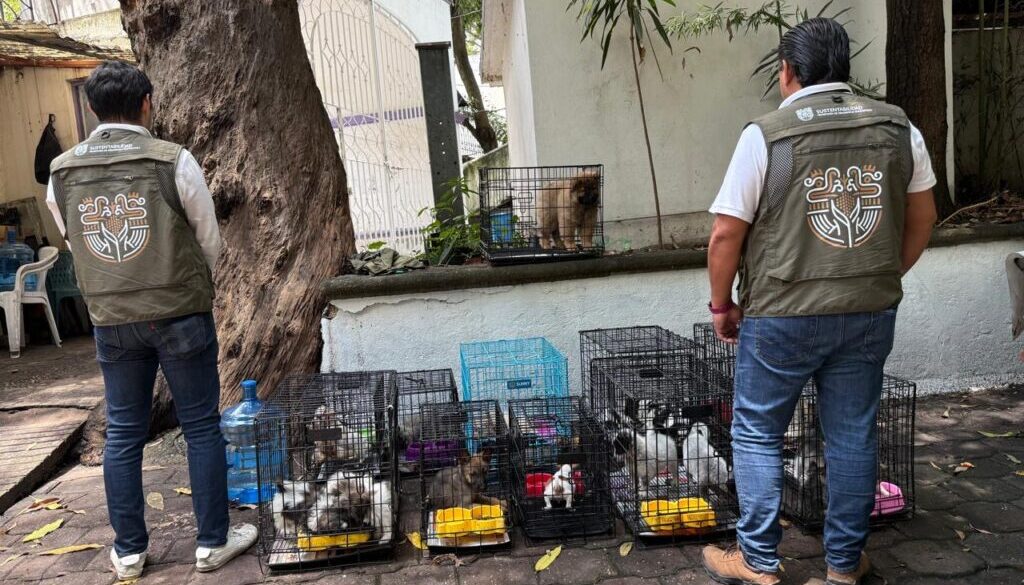 Imagen de WhatsApp 2025-08-23 a las 14.40.52_7ada9b06