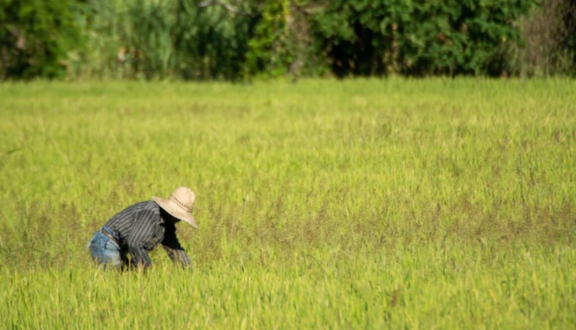 Imagen de WhatsApp 2025-08-24 a las 09.21.19_0aa968e2