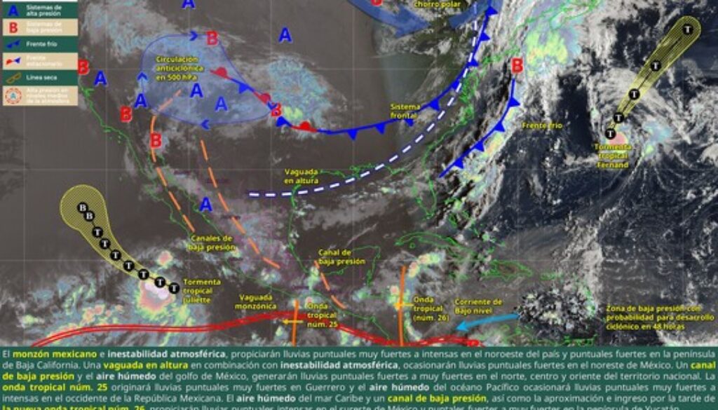 Imagen de WhatsApp 2025-08-25 a las 12.20.29_e79f4d06