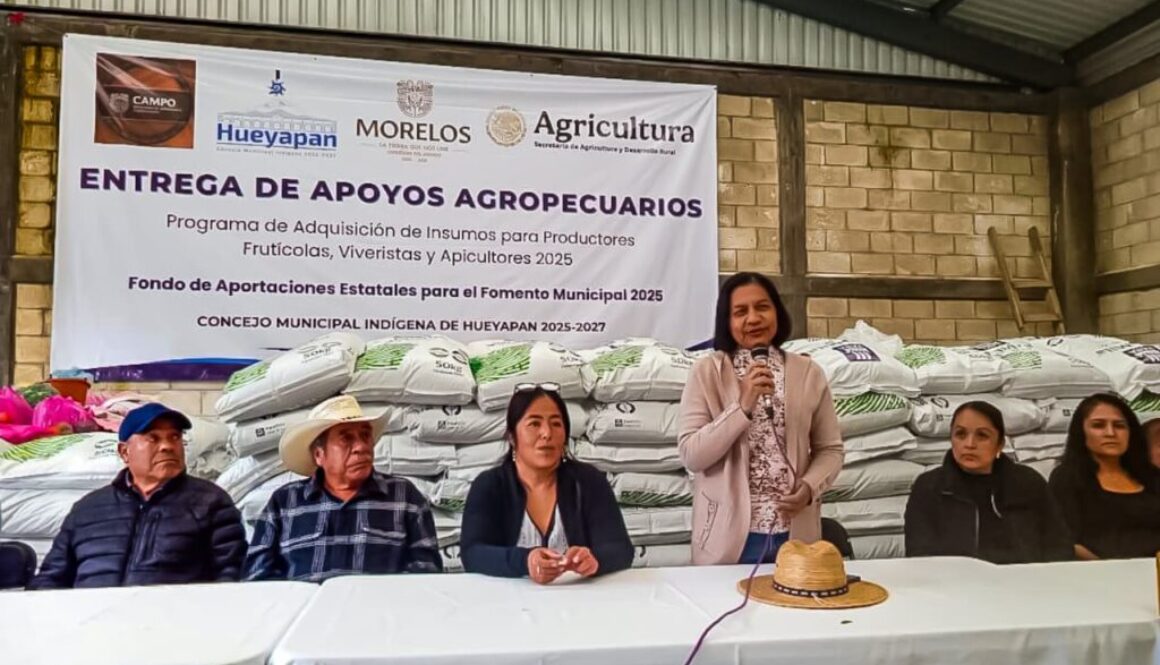 Imagen de WhatsApp 2025-08-25 a las 12.30.14_fc7176d6