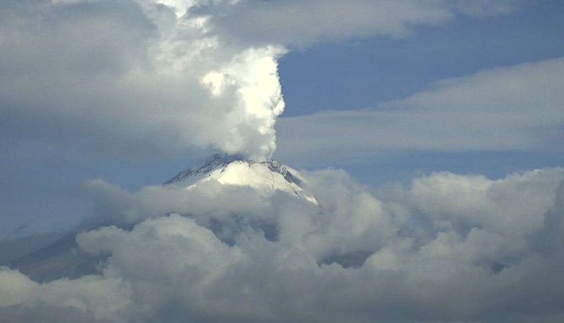 Imagen de WhatsApp 2025-08-27 a las 14.20.08_b4b78178