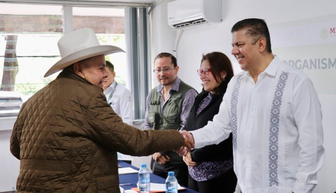 Imagen de WhatsApp 2025-08-28 a las 14.15.11_ca92dfd2