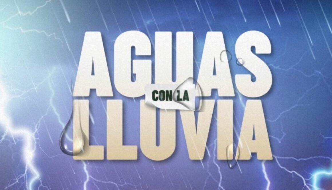 Imagen de WhatsApp 2025-08-29 a las 15.40.23_0ec6fd721