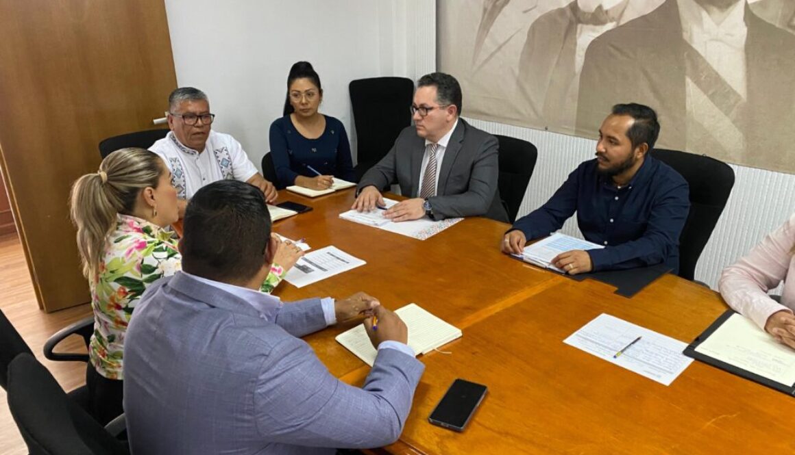 Imagen de WhatsApp 2025-08-29 a las 16.00.50_4dcbff41