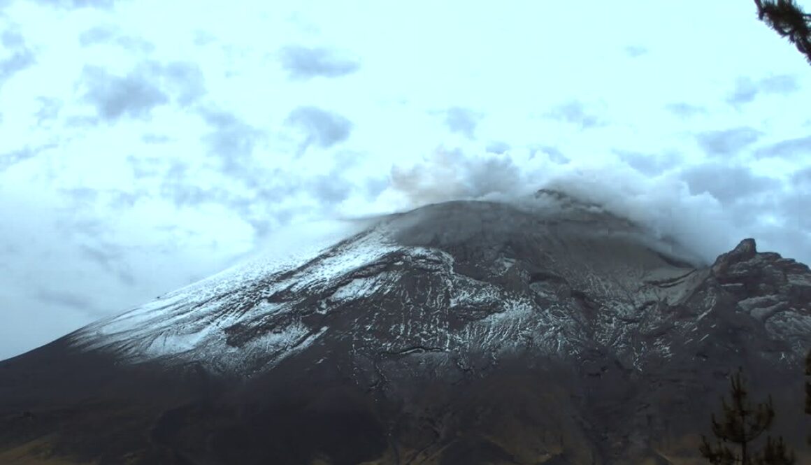 a30083e8-c5a1-432e-93d7-67066e6ca2e2