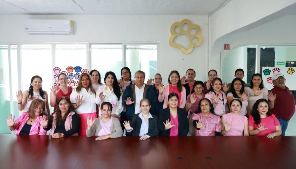 10177871-c743-479f-9e75-611e3e4e020c