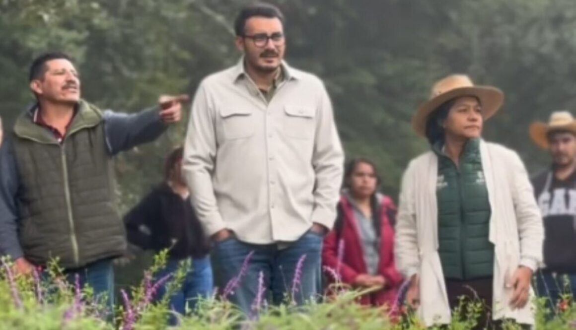 Captura de pantalla 2025-09-26 110657