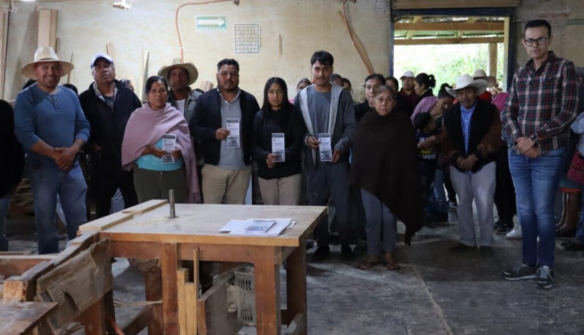 Imagen de WhatsApp 2025-09-02 a las 14.06.03_ed3a699c