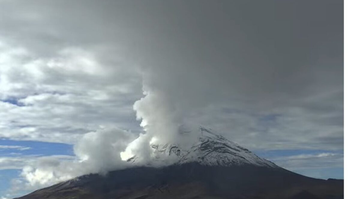 Imagen de WhatsApp 2025-09-05 a las 13.50.08_2b13d21f