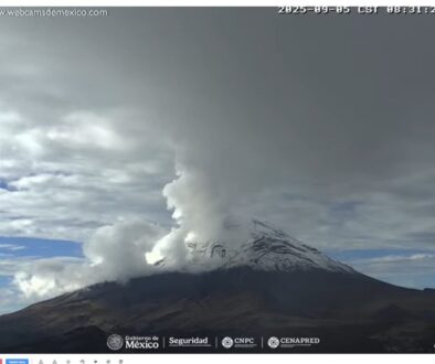Imagen de WhatsApp 2025-09-05 a las 13.50.08_2b13d21f