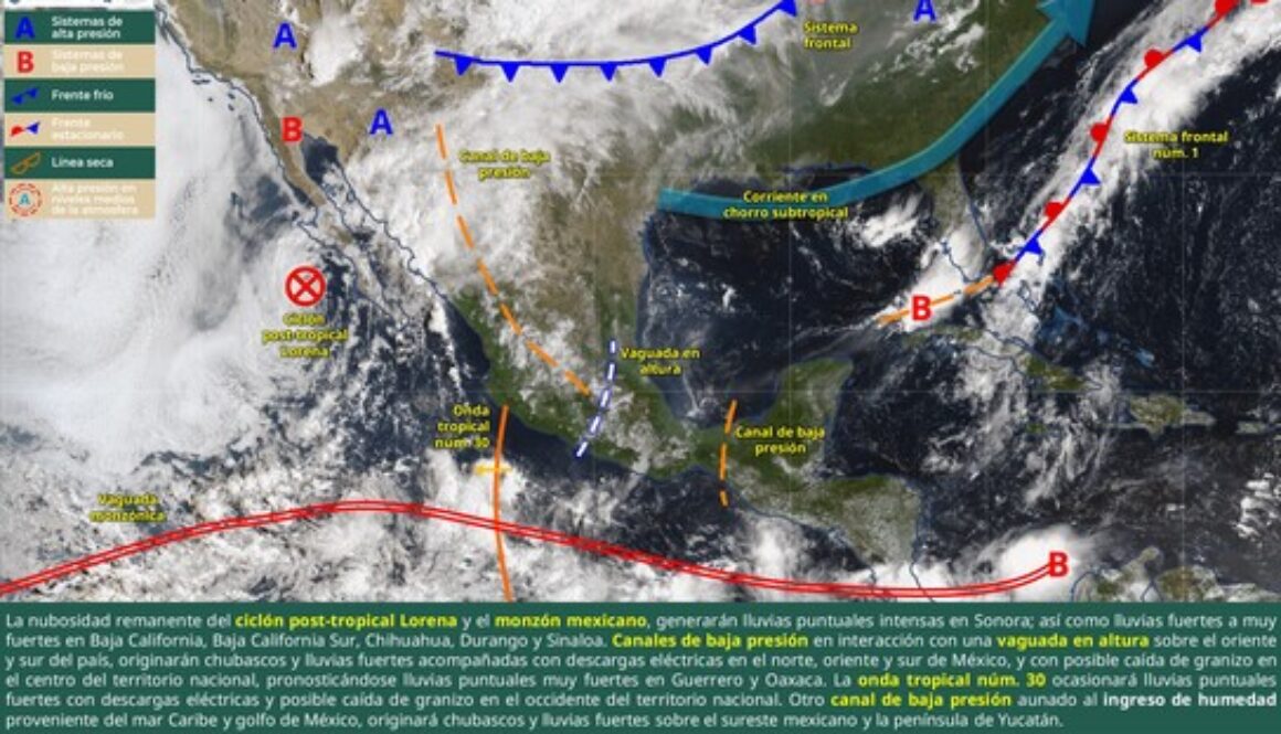 Imagen de WhatsApp 2025-09-06 a las 09.00.26_ae9fa09b
