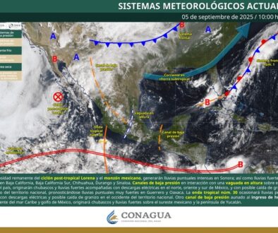 Imagen de WhatsApp 2025-09-06 a las 09.00.26_ae9fa09b