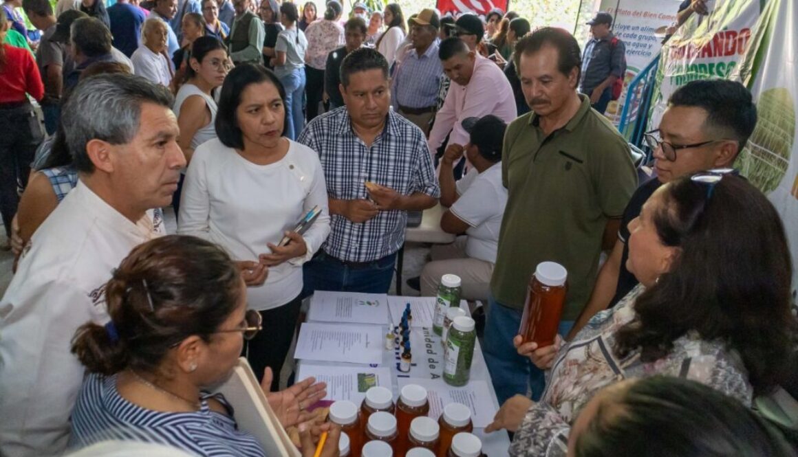 Imagen de WhatsApp 2025-09-06 a las 12.01.36_319675b4