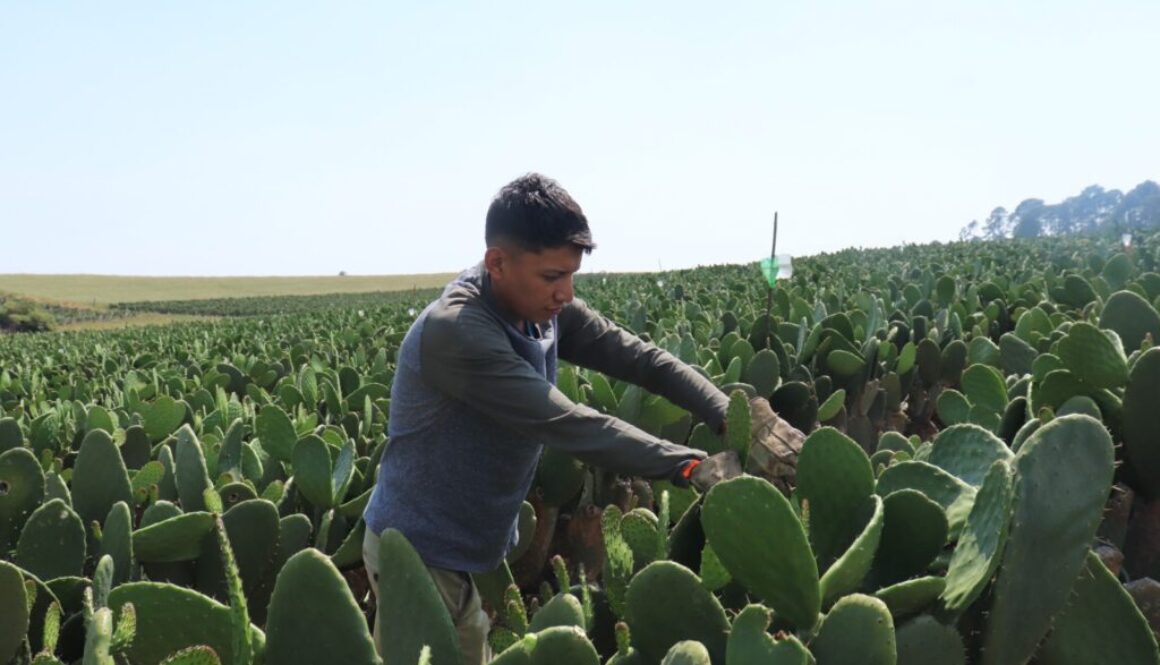 Imagen de WhatsApp 2025-09-07 a las 10.00.24_b36318a8