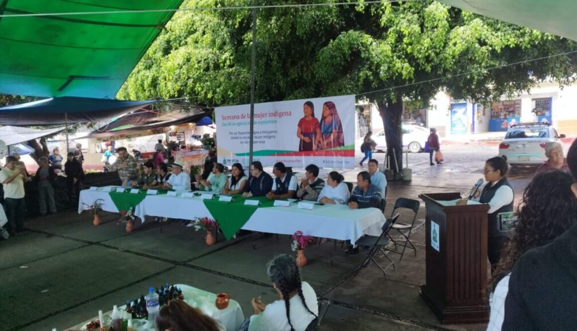 Imagen de WhatsApp 2025-09-07 a las 12.30.05_17b255e0