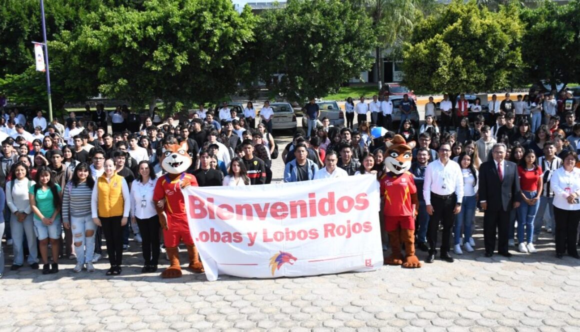 Imagen de WhatsApp 2025-09-07 a las 13.30.19_d3437502