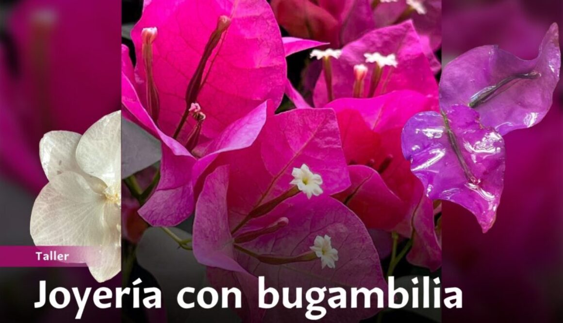 Imagen de WhatsApp 2025-09-08 a las 12.20.04_e22d0fc2