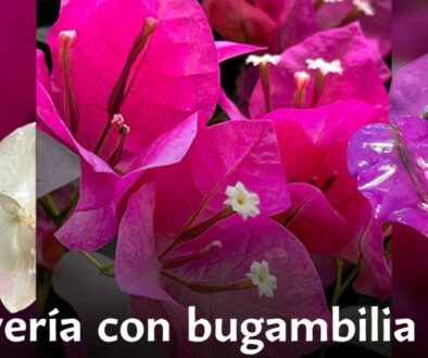 Imagen de WhatsApp 2025-09-08 a las 12.20.04_e22d0fc2