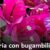 Imagen de WhatsApp 2025-09-08 a las 12.20.04_e22d0fc2