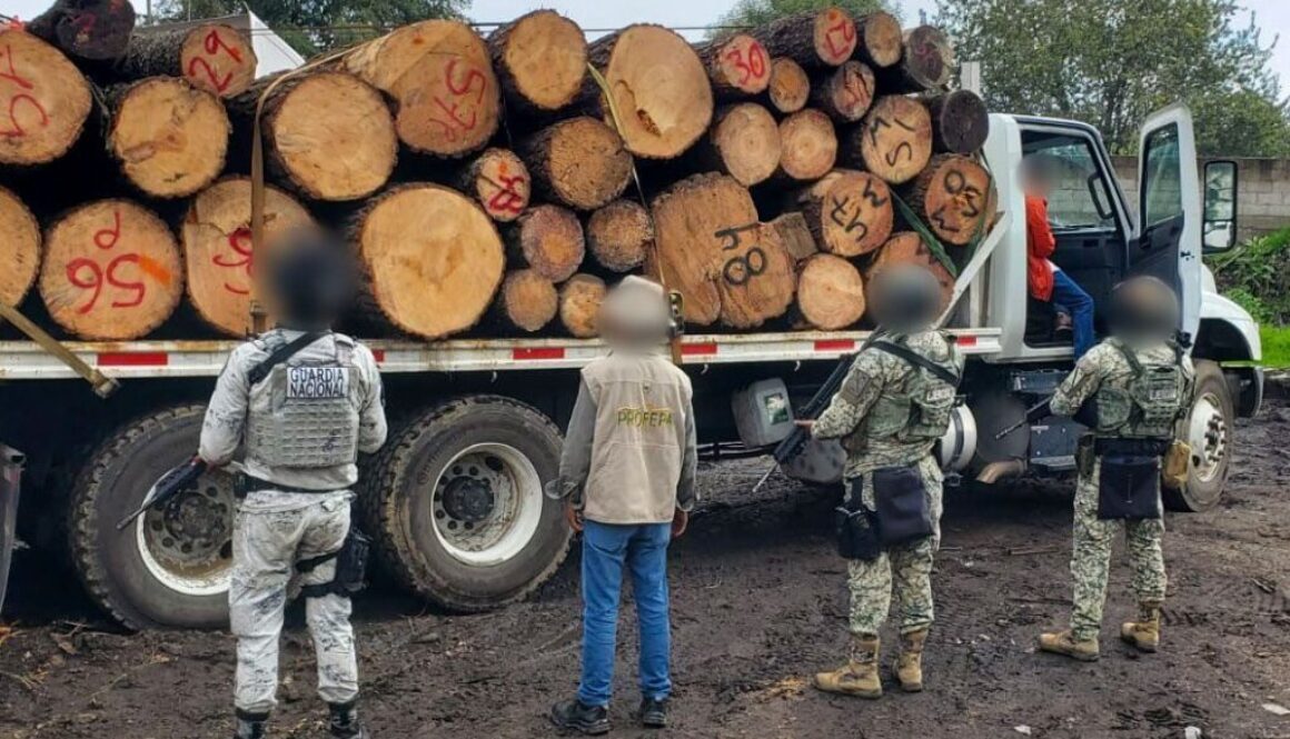 Imagen de WhatsApp 2025-09-08 a las 19.00.23_d758e93b