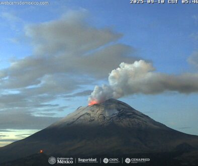 Imagen de WhatsApp 2025-09-10 a las 12.15.24_39669456
