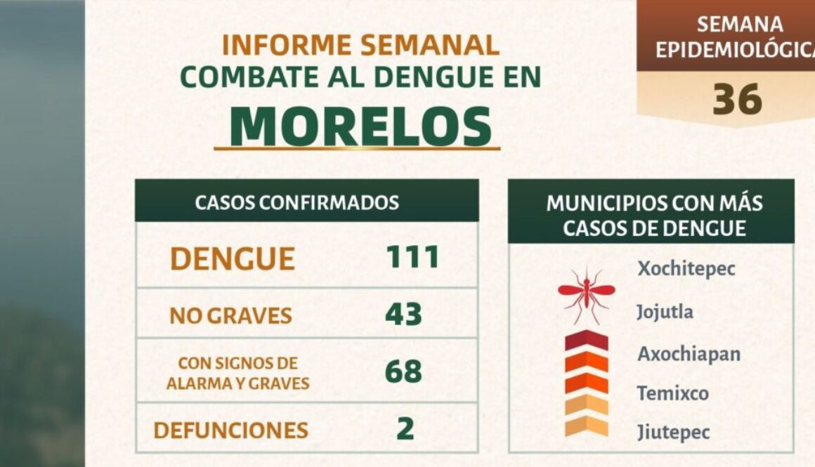 Imagen de WhatsApp 2025-09-11 a las 12.35.12_87bda6d0