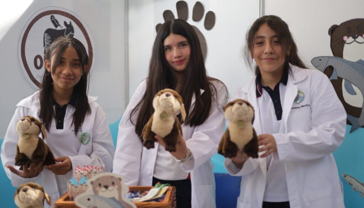 Imagen de WhatsApp 2025-09-11 a las 16.05.06_2b947792