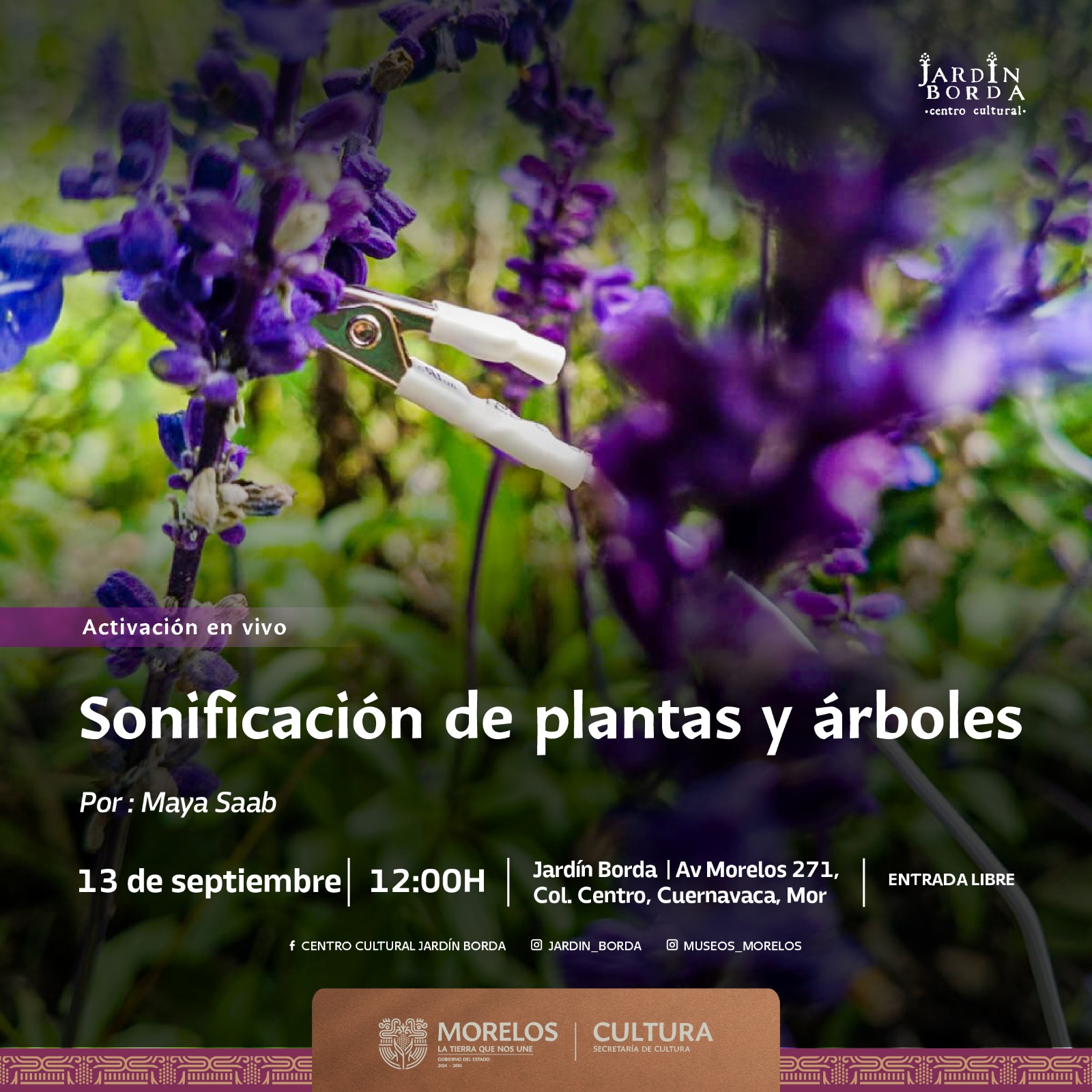 INVITAN A ACTIVACIÓN EN VIVO DE MAYA SAAB EN EL JARDÍN BORDA