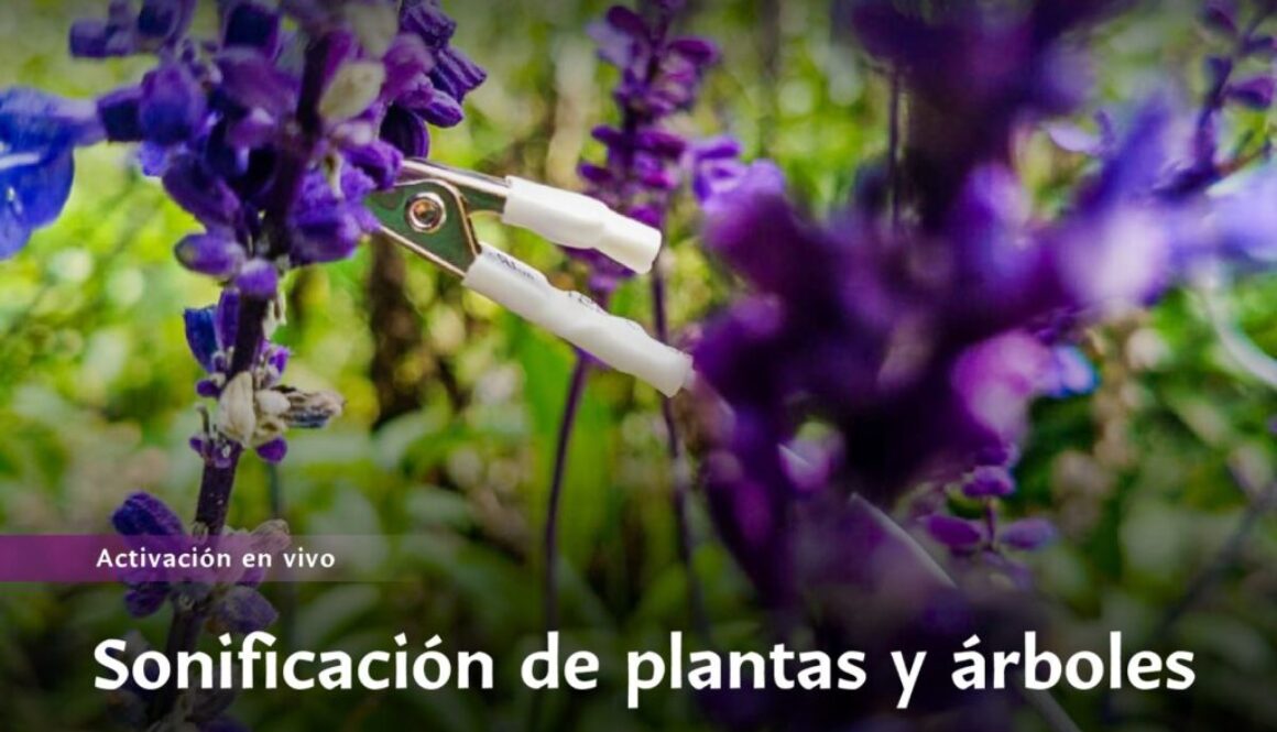 Imagen de WhatsApp 2025-09-12 a las 10.15.48_dfec6d382