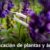 Imagen de WhatsApp 2025-09-12 a las 10.15.48_dfec6d382