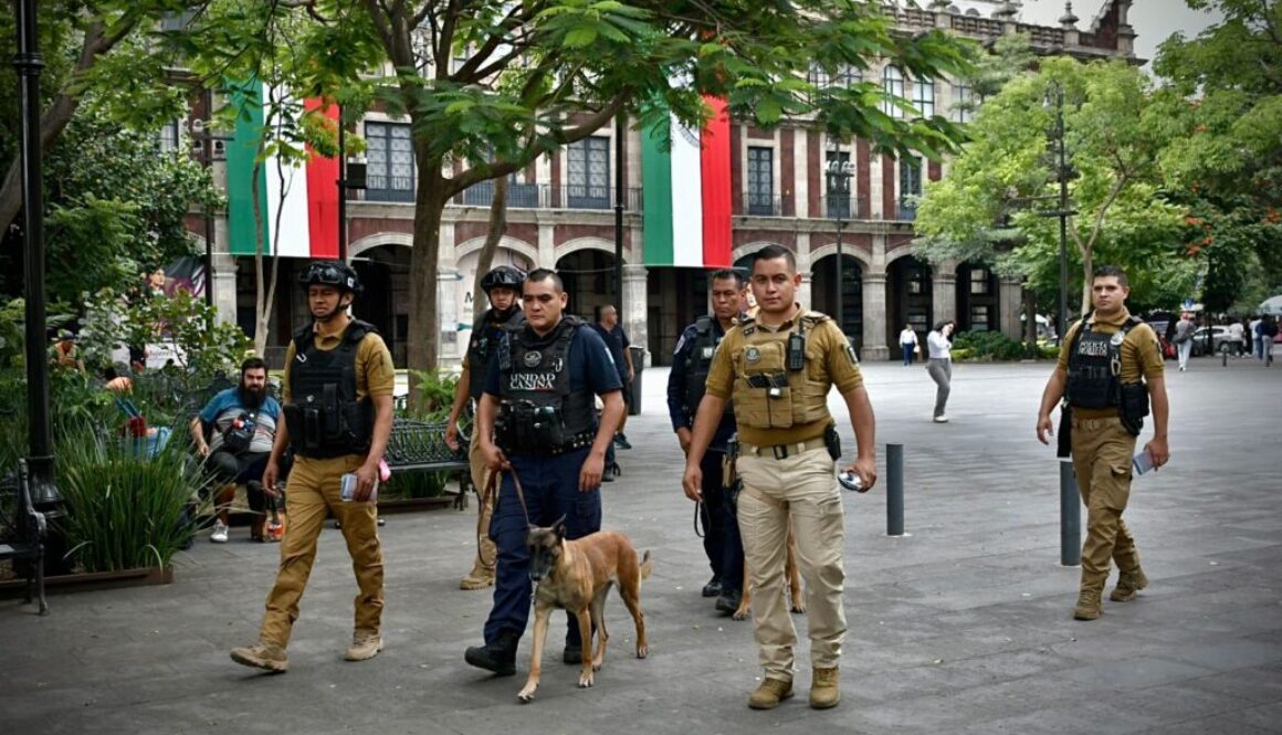 Imagen de WhatsApp 2025-09-12 a las 13.46.06_a33cfca6