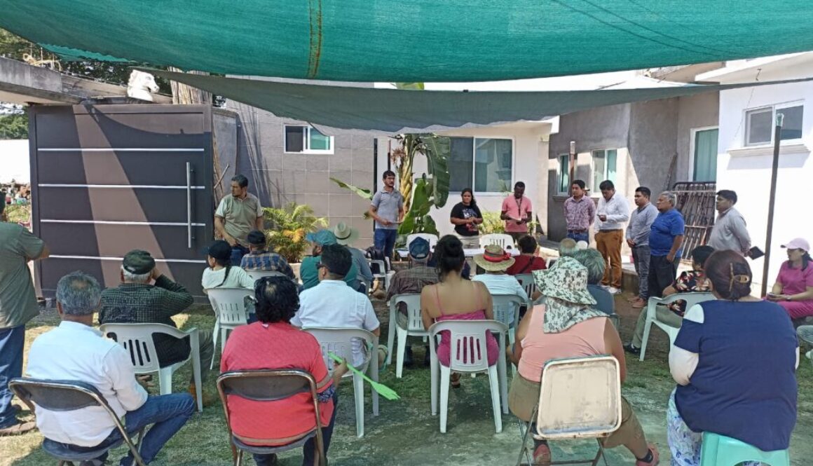 Imagen de WhatsApp 2025-09-13 a las 11.15.47_333a6cf8