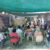 Imagen de WhatsApp 2025-09-13 a las 11.15.47_333a6cf8
